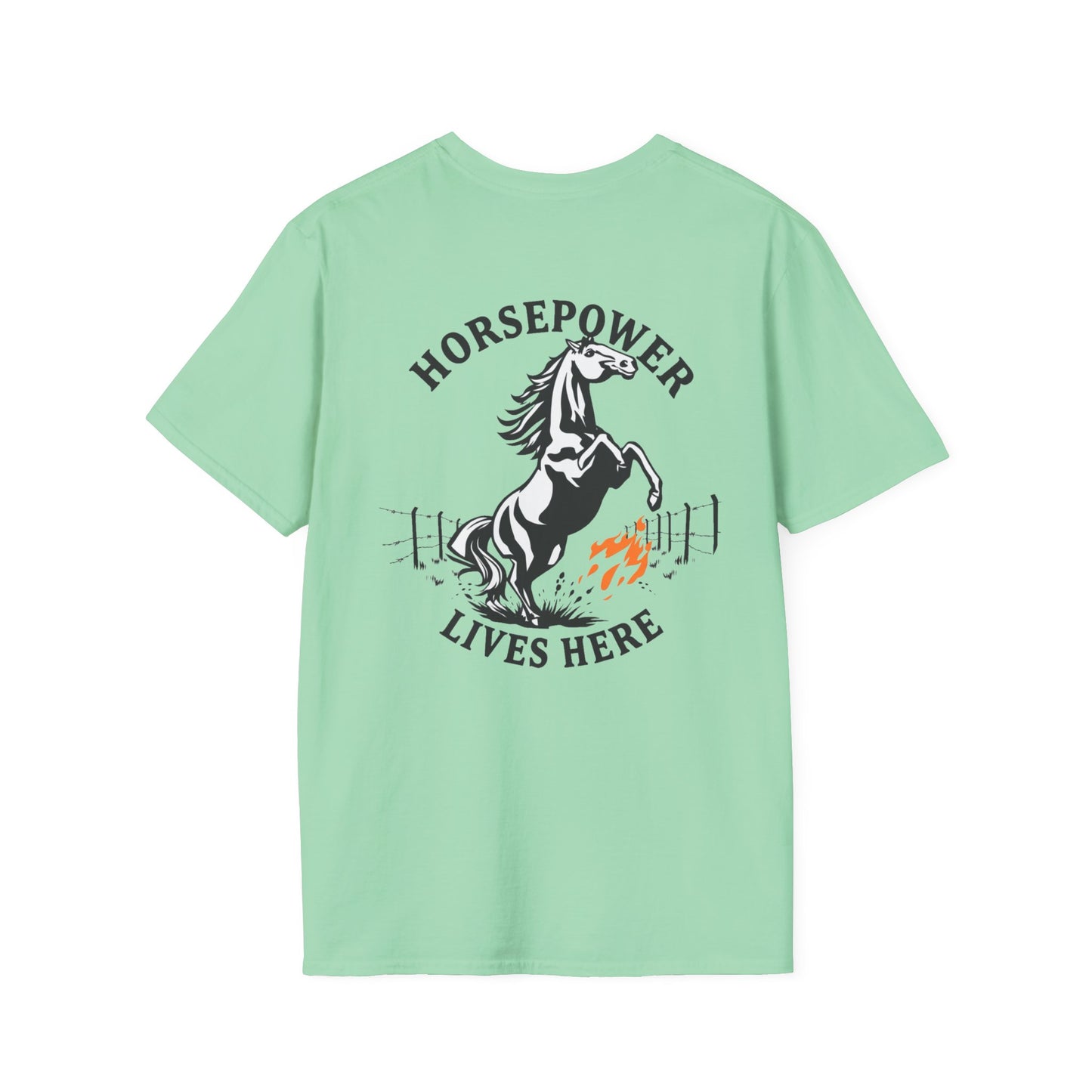 Vigue Equine LLC Merch for Countryside Runners- soft style t-shirt