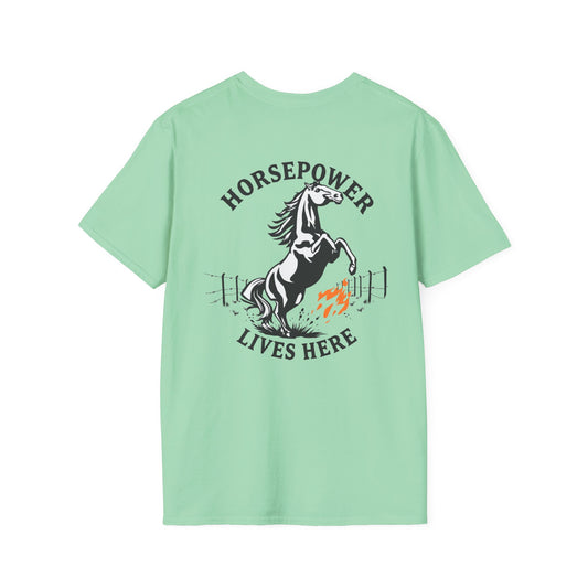 Vigue Equine LLC Merch for Countryside Runners- soft style t-shirt